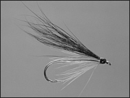 Sea Trout Fly