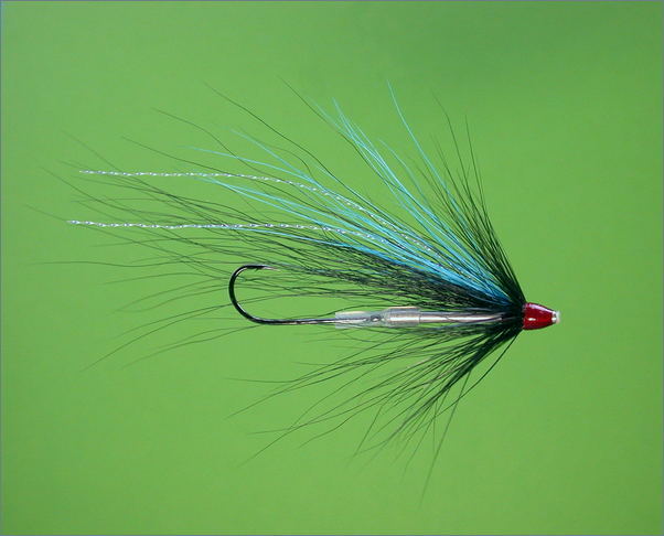 Sea Trout Tingler - black and blue