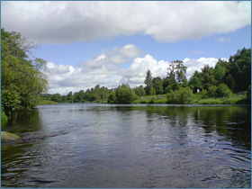 Sea trout fishing Scotland