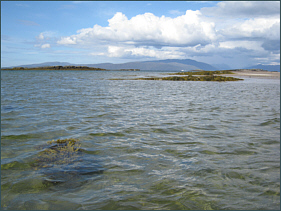 Sea Fishing, Skye