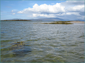 Skye Sea Trout Fishing