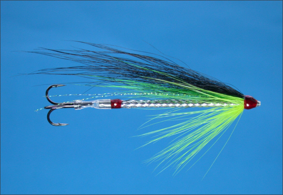 The Snake Tube Fly