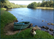 River Spey Salmon Fishing