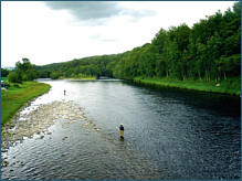 Weiroch Lodge Fishing