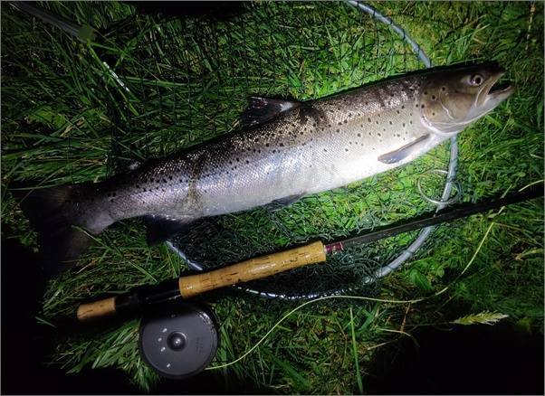 Spey Nine Pound Sea Trout