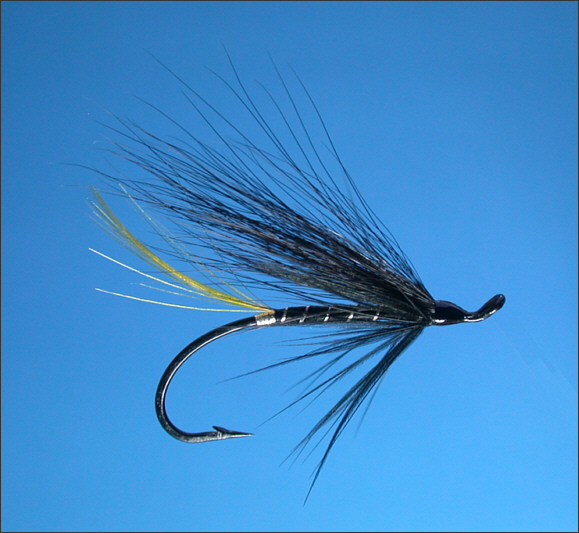 Stoat's Tail Salmon Fly