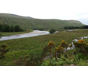 Strathmore River Fishing