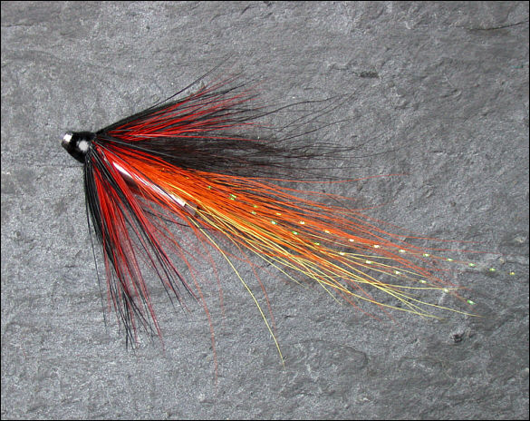 The Summer Shrimp Fly