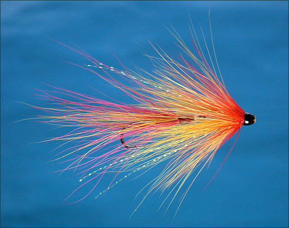 The Salmon Tingler Tube Fly