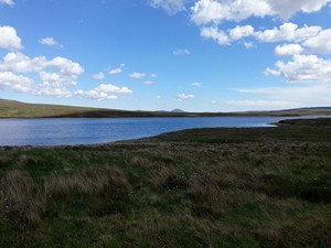 Loch Loyal Trout Fishing