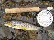 Loch Trout Fishing