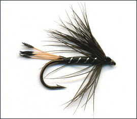 Black Pennell Trout Fly