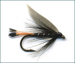 Trout Fly