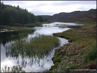 Trout Fishing Loch - Scourie