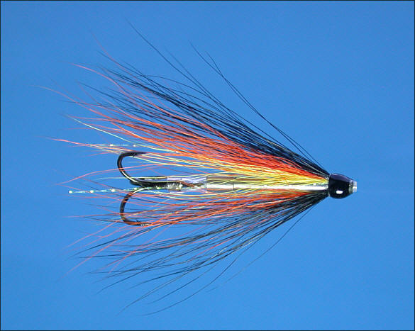 The Willie Gunn Tube Fly