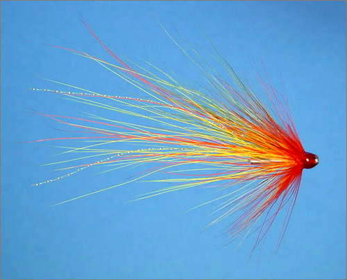 Yelly Belly Shrimp - Orange Hackle