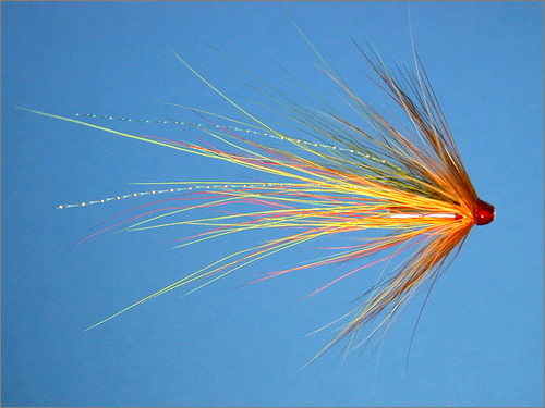 Yelly Belly Shrimp - Olive Hackle